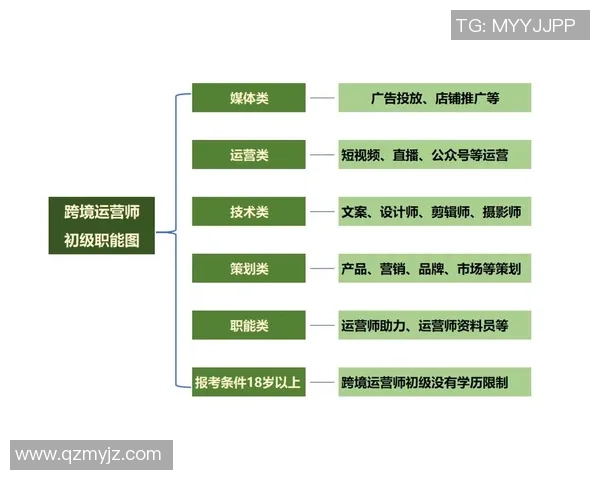成都排球队团队协作表现的深度数据分析与探讨
