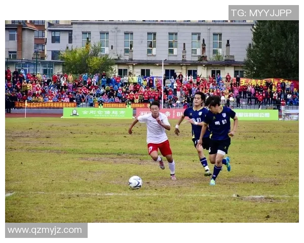 足球明星齐聚一堂展现风采的精彩旗子军团图片合集